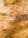 Brown soft wool texture background, cotton wool, light natural sheep wool, close-up texture of white fluffy fur Royalty Free Stock Photo
