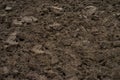 Brown soil in field
