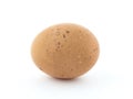 Brown speckled chicken egg. Royalty Free Stock Photo