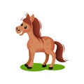 Brown spotted horse standing on green grass. Pony with flowing mane and long tail. Mammal animal. Flat vector icon Royalty Free Stock Photo