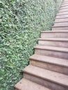 Brown stair and green wall Royalty Free Stock Photo