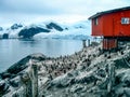 Brown Station, Argentine Antarctic base and scientific research station on the Antarctic peninsula