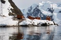 Brown Station an Argentine Antarctic base and scientific research station located at Paradise Bay, Antarctica