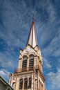 Brown Steeple Under Nice Sky Royalty Free Stock Photo