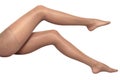 Brown stockings Royalty Free Stock Photo