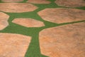 Brown stone and artificial turf grass pathway