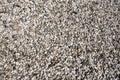 Brown stone grit scree for background. Brown gravel stone texture, granite gravel, rocks crushed for ground construction Royalty Free Stock Photo