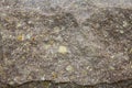 Brown stone or rock background and texture Royalty Free Stock Photo
