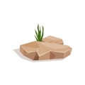 Brown stone with sansevieria plant, landscape design element vector Illustration