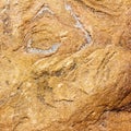 brown stone texture of the flagstone Royalty Free Stock Photo