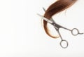 A brown strand of split ends and professional scissors, view from above, copy space