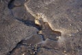 Brown stream of water of a dirty stream among gray snow and ice Royalty Free Stock Photo