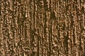 Brown structural street plaster, bark beetle building paint for outdoor decoration in sunlight. Royalty Free Stock Photo