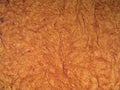 Brown Stucco Texture