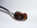 Brown Sugar Rock Crystals on a Teaspoon