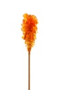 Brown sugar stick Royalty Free Stock Photo