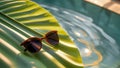 Brown Sunglasses On Palm Leaf Beside Pool With Clear Rippling Water Royalty Free Stock Photo