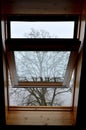 brown sunroof blackout blinds. the window is half-open, the curtain drawn