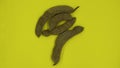 Brown tamarind pod on a yellow background