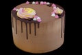 Brown tasty chocolade cake