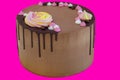 Brown tasty chocolade cake Royalty Free Stock Photo