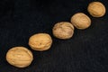 Brown tasty walnut on grey stone Royalty Free Stock Photo