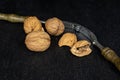 Brown tasty walnut on grey stone Royalty Free Stock Photo