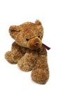 Brown Teddy