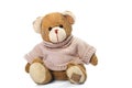 Brown teddy bear Royalty Free Stock Photo