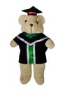 Brown teddy bear in academic gown, isolated on white background Royalty Free Stock Photo