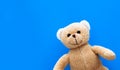 Brown teddy bear child toy isolated in a seamless pastel blue coulor with large empty space background Royalty Free Stock Photo