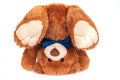 Brown teddy bear with dark blue bow tie upside down on white Royalty Free Stock Photo