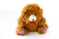 Brown teddy bear doll isolated Royalty Free Stock Photo