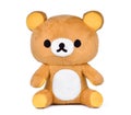 Brown teddy bear isoalted on white