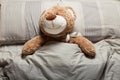 Brown teddy bear laying in bed, furry doll. Sweet sleep Royalty Free Stock Photo