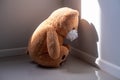The brown teddy bear looked sad and disappointed inside the house.