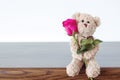 Brown teddy bear and pink rose for a lover, valentine`s day love beautiful. Royalty Free Stock Photo