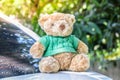 Brown Teddy bear put green shirt sitting on the back of a white Royalty Free Stock Photo