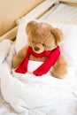 Brown teddy bear in red scarf lying in bed under blanket Royalty Free Stock Photo