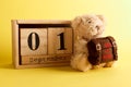 Brown teddy bear with school backpack and decoratibe wooden calendar, yellow background