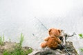 Brown teddy bear sits by the lake with a fishing rod and catches fish. Summer nature idyllic landscape Royalty Free Stock Photo