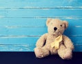 Brown teddy bear sits on a blue background Royalty Free Stock Photo