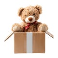 Brown Teddy Bear Sitting Inside Cardboard Box Royalty Free Stock Photo