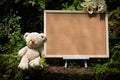 Brown teddy bear sitting near big blank board in the nature Royalty Free Stock Photo