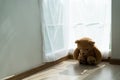 The brown teddy bear was sadly and disappointment. The teddy bear feeling lonely. Child concept of sorrow