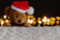 Brown teddy bear wearing santa claus hat Royalty Free Stock Photo