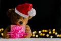 Brown teddy bear wearing santa claus hat holding partial focus of Christmas gift box Royalty Free Stock Photo