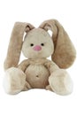 Brown teddy bunny with rose nose isolated