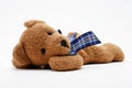 Brown teddybear Royalty Free Stock Photo
