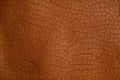 Brown texture of genuine leather for your design. Generative AI